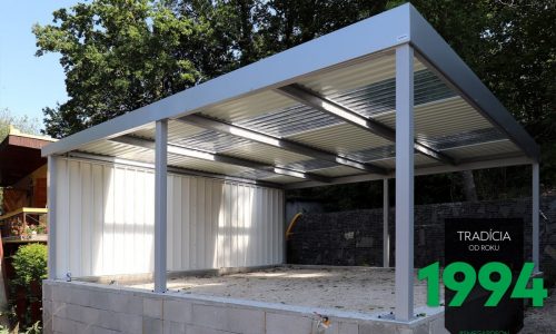 Carport GARDEON mit durchsichtigen Dachpaneelen