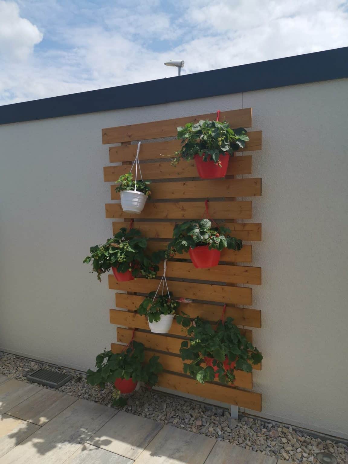 Blumenkästen zum Aufhängen - tolle Ideen! - GARDEON