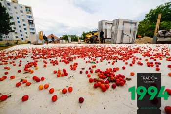 Obsttücke auf dem Fundament bei der Montage der Reihengarage
