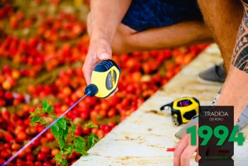 Das Fundament wir vor Aufstellung nochmals gründlich bemessen