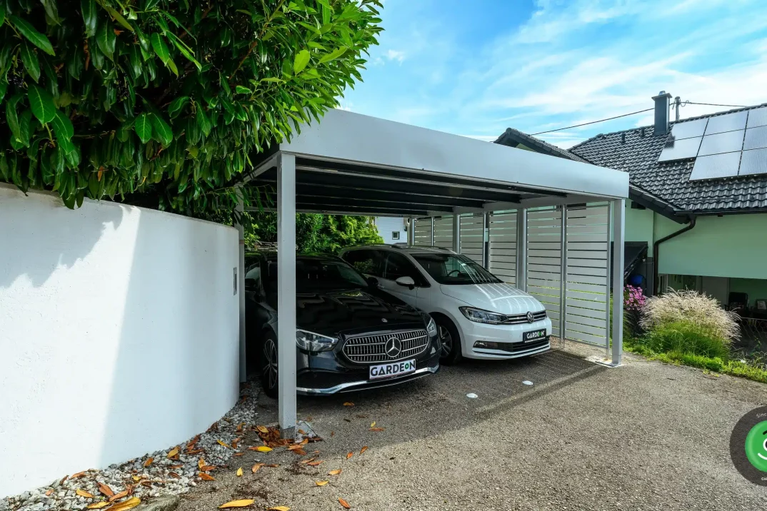 Carport GARDEON in RAL Farbe