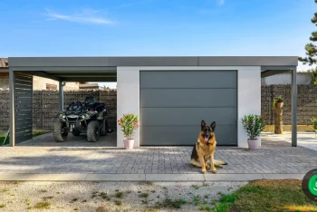 Hund in der Nähe des Gartenhauses mit einem Garagentor