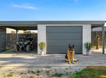 Hund in der Nähe des Gartenhauses mit einem Garagentor