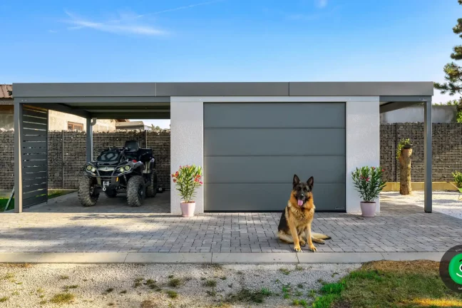 Hund in der Nähe des Gartenhauses mit einem Garagentor