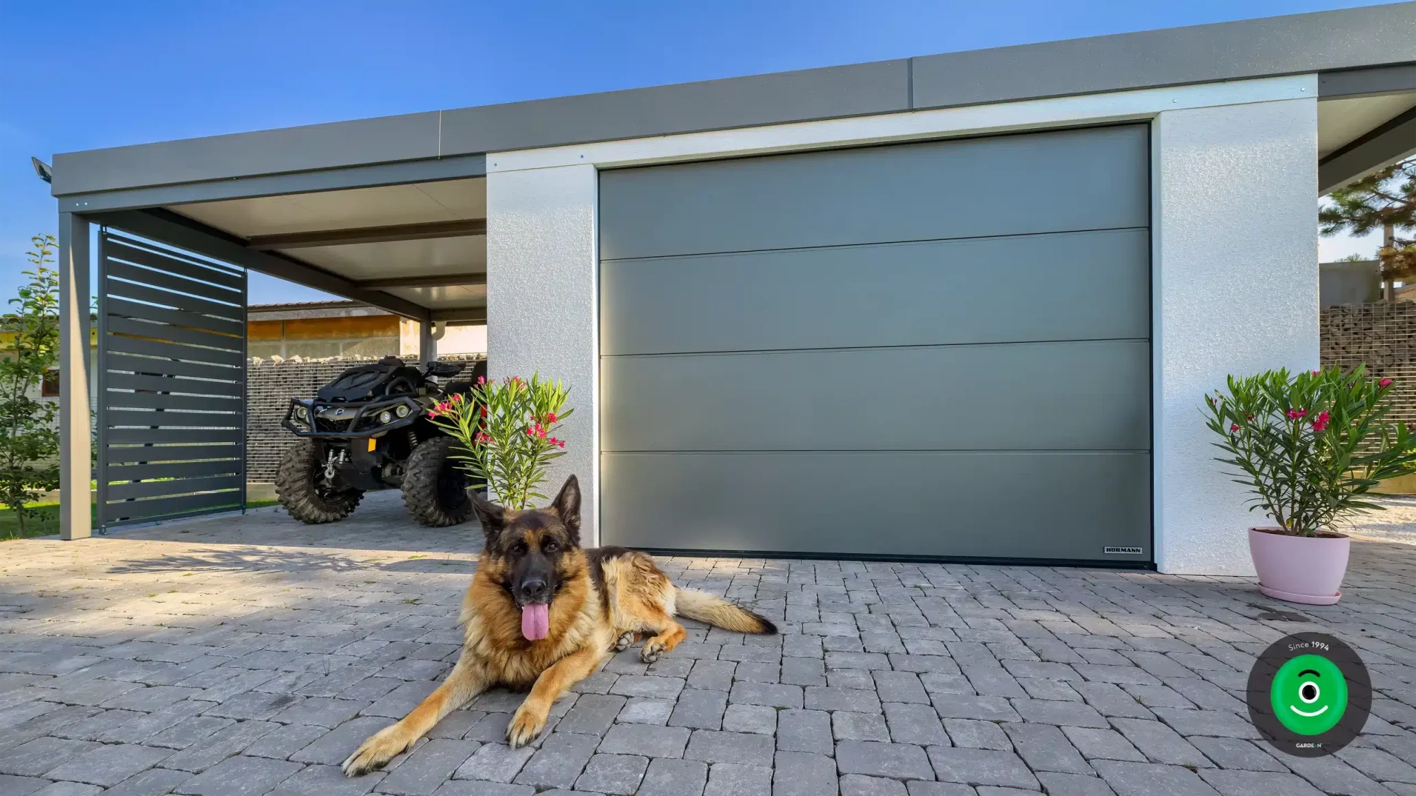 Hund am Garagentor des Gartenhauses mit Überdachung