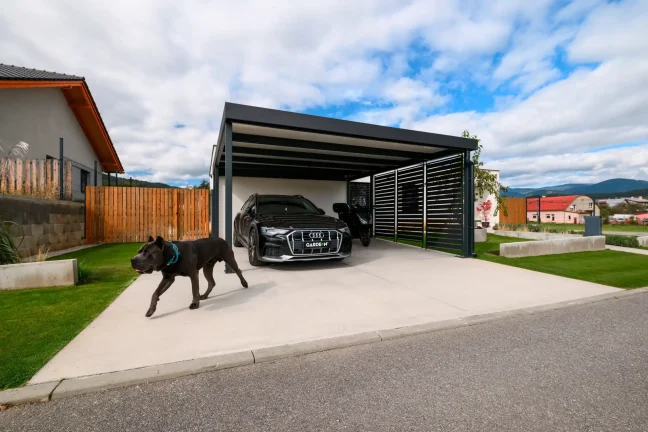 Carport für zwei Autos mit Auto und Hund auf der Einfahrt
