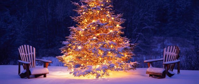 Ein beleuchteter Baum im Winter